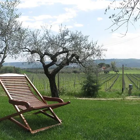Agriturismo Olivuccia-3
